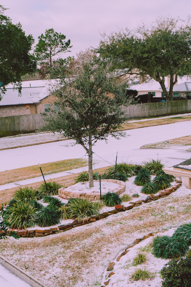 Houston Area Landscaping: Professional Outdoor Spaces Built for Texas Living